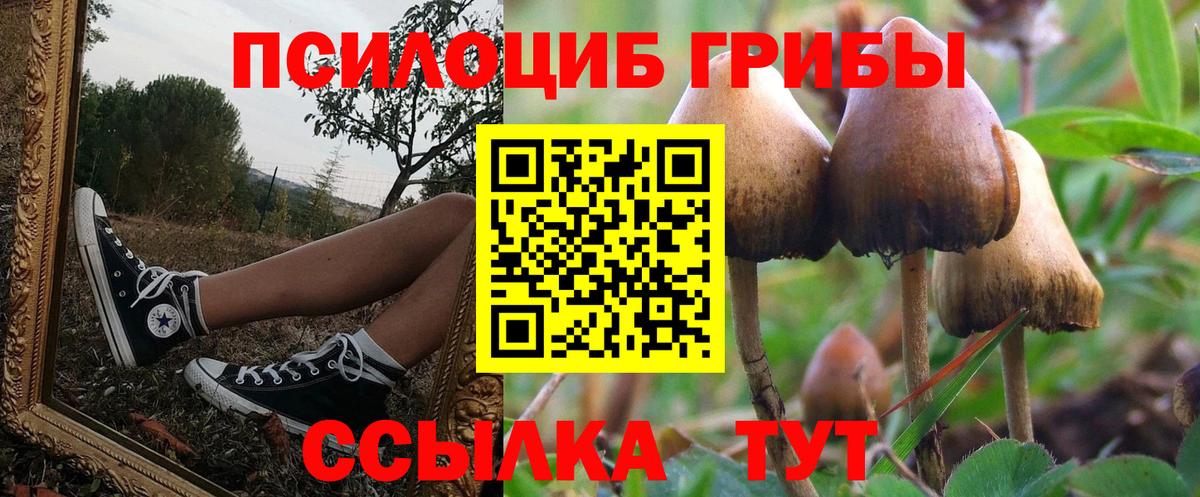 Галлюциногенные грибы мицелий  Псилоцибиновые грибы мицелий  Вход с VPN  Озёры 